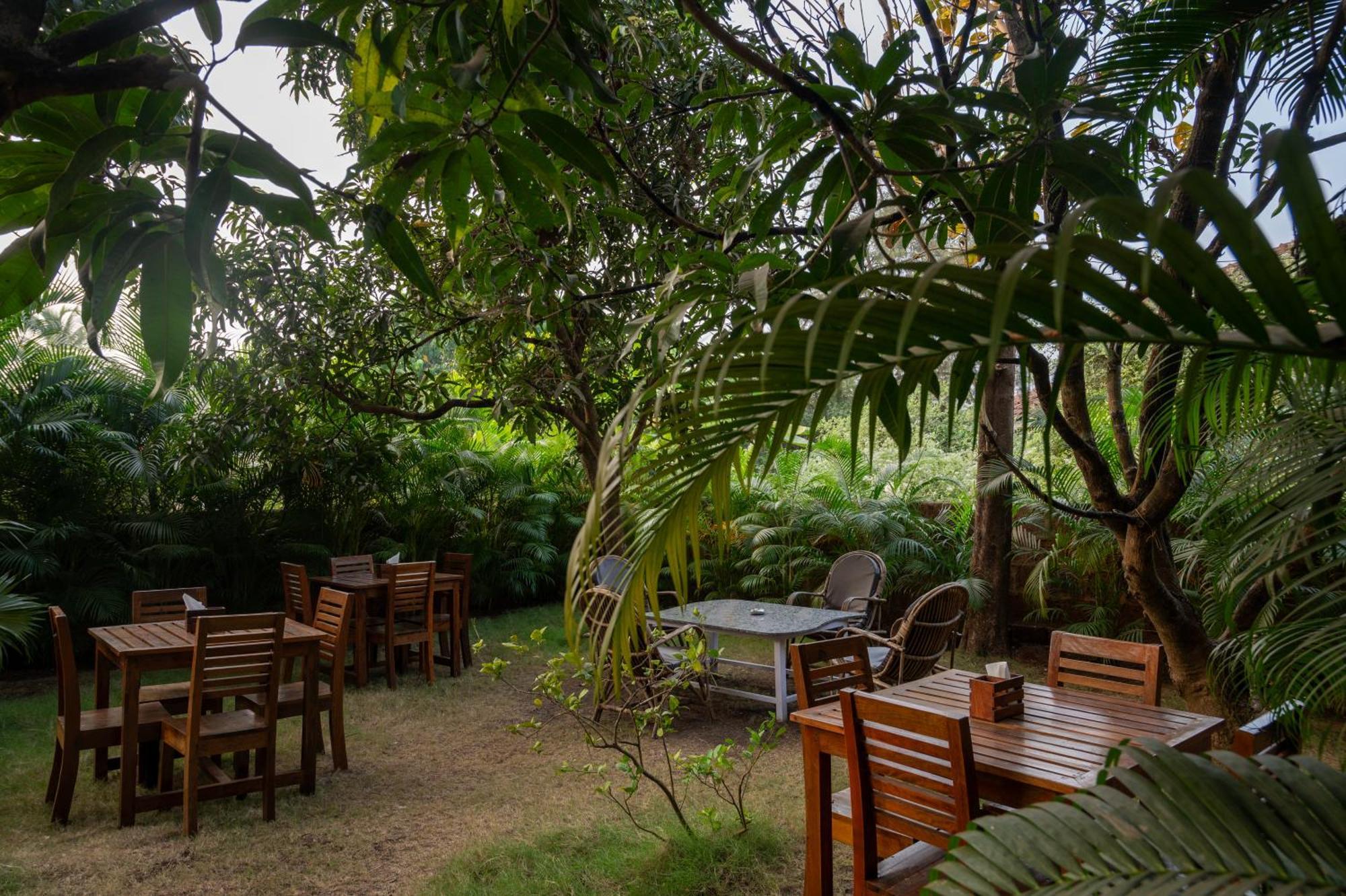 Aaria Hills Hotell Arambol Exteriör bild