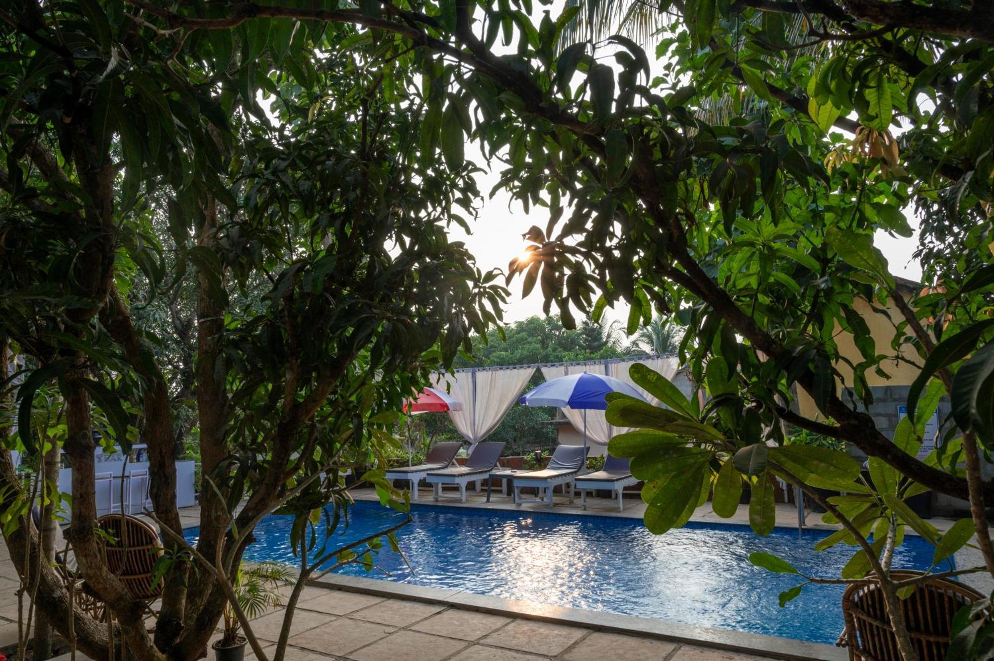 Aaria Hills Hotell Arambol Exteriör bild